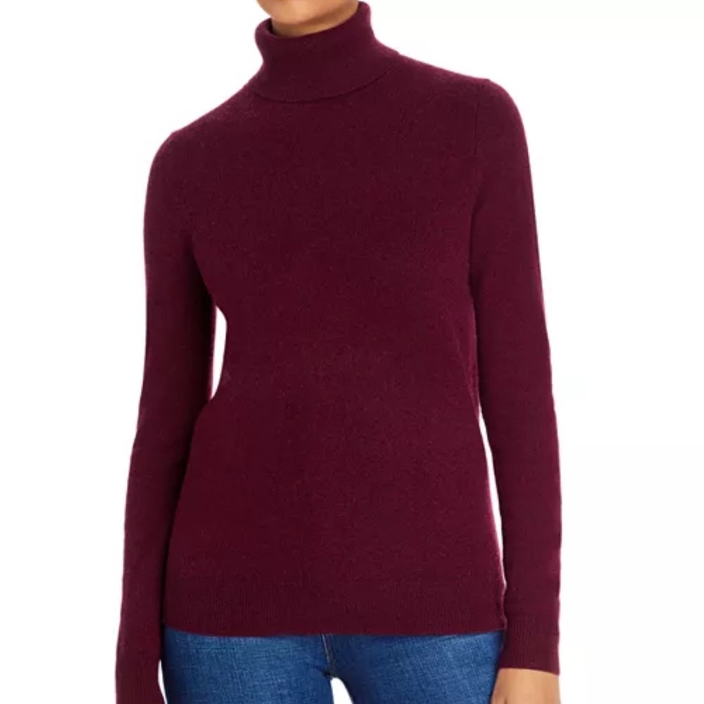 Aqua Rich Maroon Turtleneck Sweater